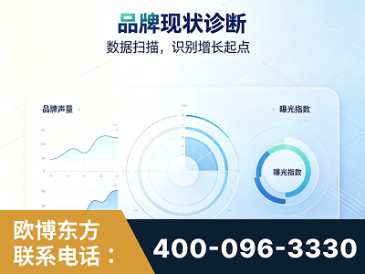 海林-品牌现状诊断