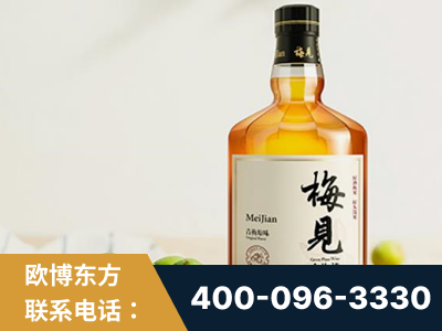 海林-梅见青梅酒